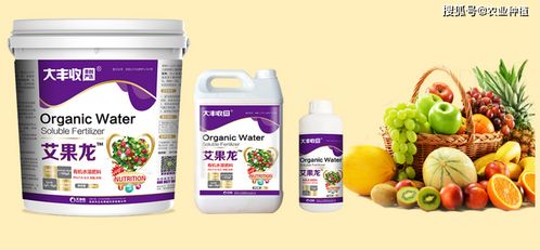 怎么促進(jìn)果子膨大轉(zhuǎn)色,搞清關(guān)鍵原理才好對應(yīng)下肥 大豐收艾果龍