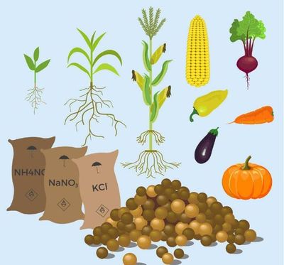 關(guān)于肥料的那些套路都在這里了