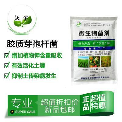 膠凍樣芽孢桿菌膠質菌有機肥料生物拌種蘸根基肥硅酸鹽細菌鉀菌株1kg沃寶生物