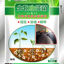 仙慶精品有機肥 助力綠色農業，提升土壤活力