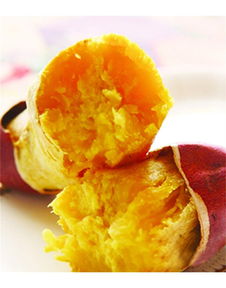 泉城烤薯加盟詳解 費(fèi)用、總部及地瓜坊餐飲管理分析